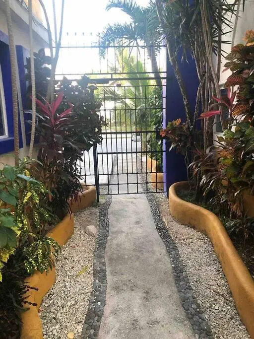 Departamento Dos Habitaciones En Cozumel